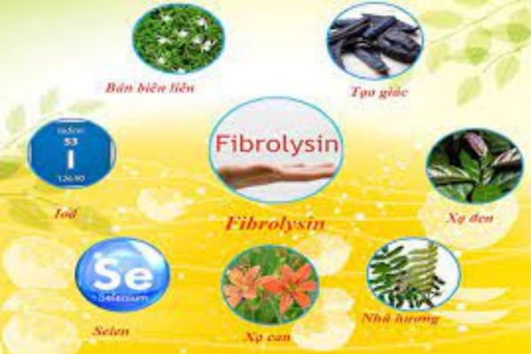 Sản phẩm thảo dược chứa Fibrolysin giúp giảm ho đờm hiệu quả tiện dùng